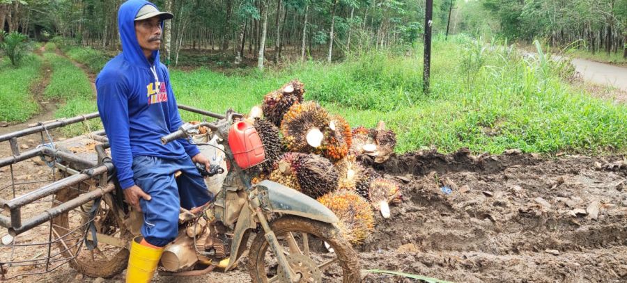 Angkut Hasil Pertanian Salah Satu Dampak Positif TMMD