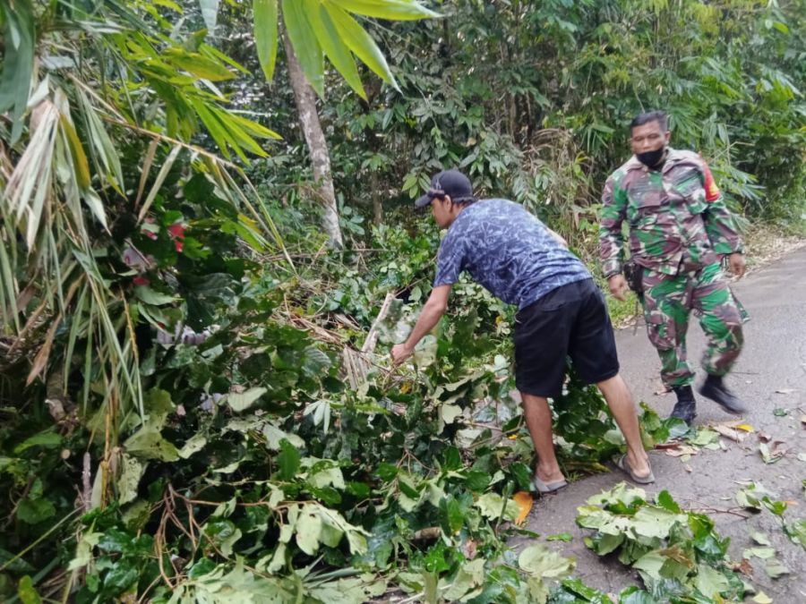 Bersama Warga Binaan Sertu Rodi Hartono Evakuasi Pohon Tumbang