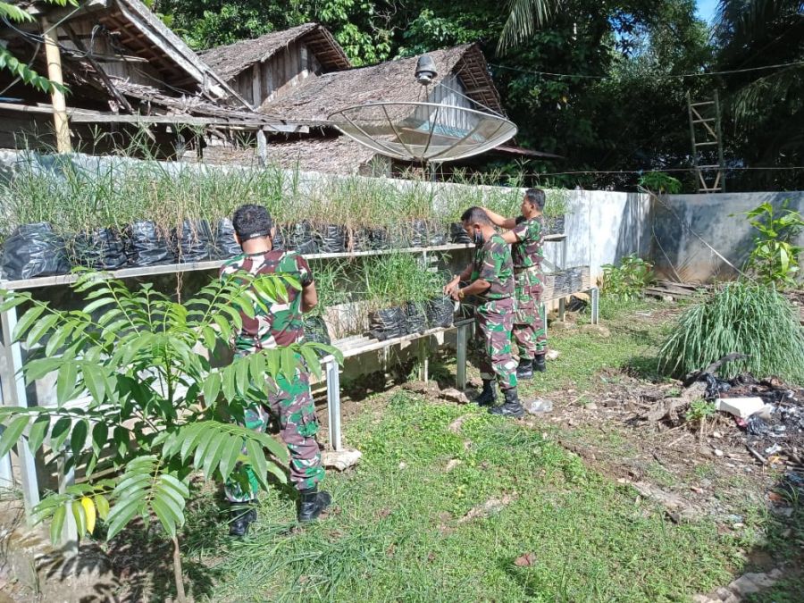 Guna Dukung Ketahanan Pangan, Koramil Haruyan Tanam Sayur  Media Polybak