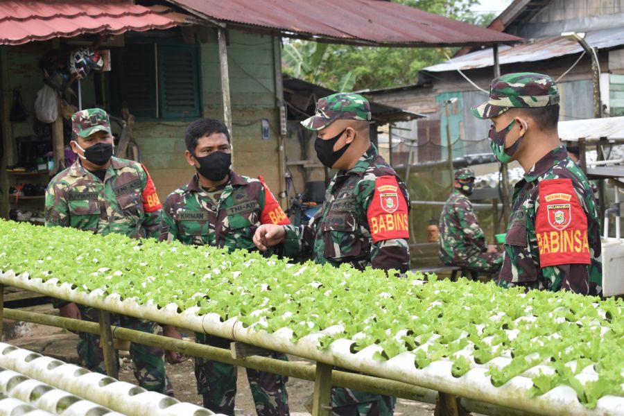 Manfaatkan Lahan Kosong, Budaya Tanaman Hidroponik
