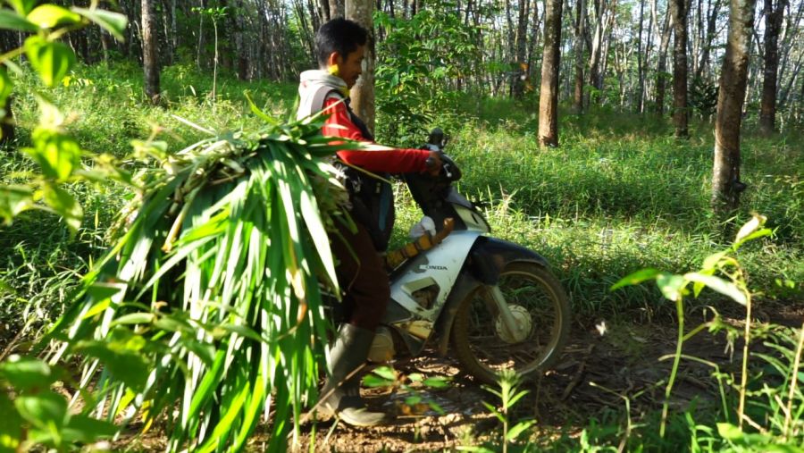 Pemkab Tapin bersama Kodim 1010/Tapin Buka Akses Jalan Saat TMMD ke-111