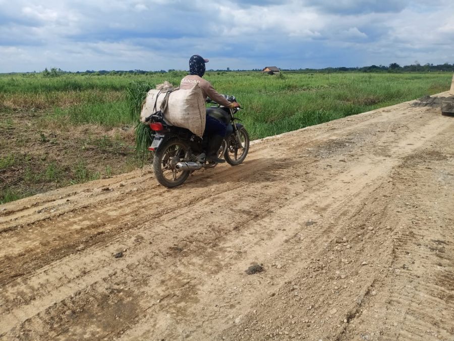 Perbaikan Mutu Jalan di Desa Rantau Keminting, Pencari Rumput Kaget