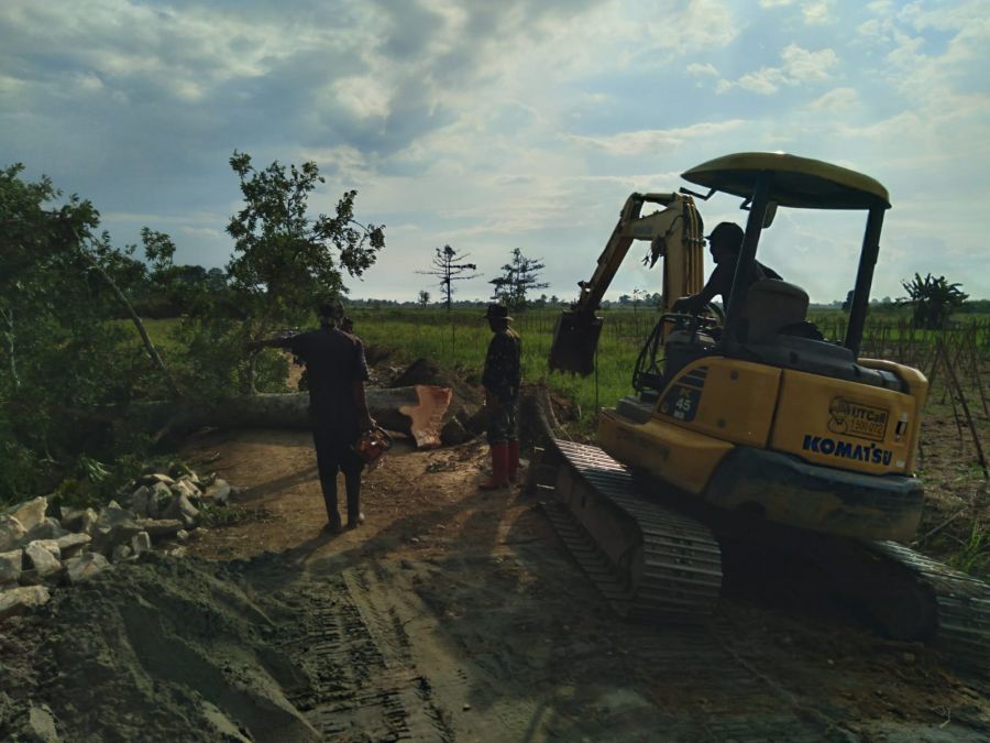 Pohon Besar Halangi Jalan, Dirobohkan Dengan Alat Berat