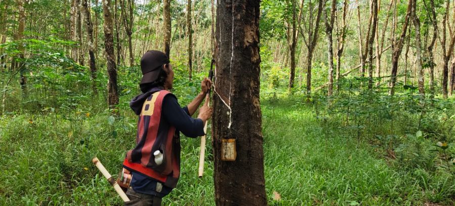 Ucapan Terimakasih Dari Masyarakat Desa Tanjung untuk Satgas TMMD